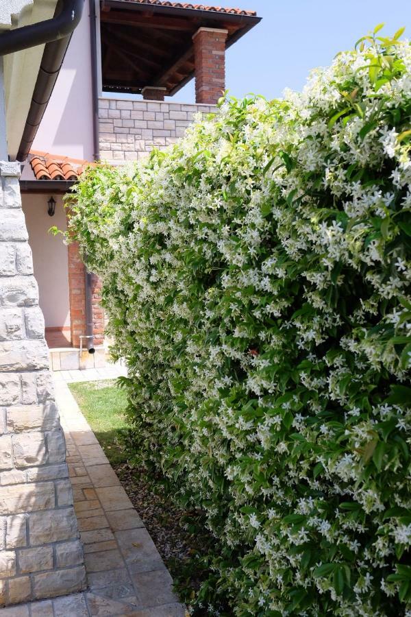 Luxury Le Rose Porec